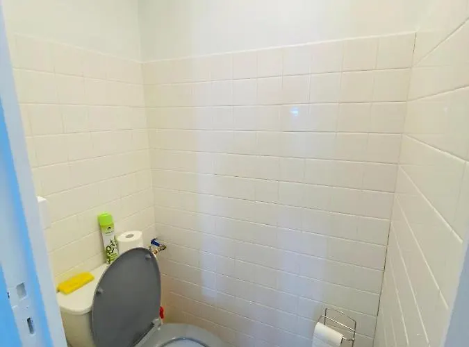 Les Paquerettes N 1 Daire Le Mont-Dore