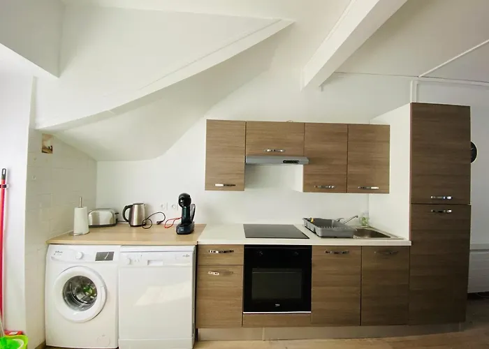 Daire Les Paquerettes N 1 Le Mont-Dore